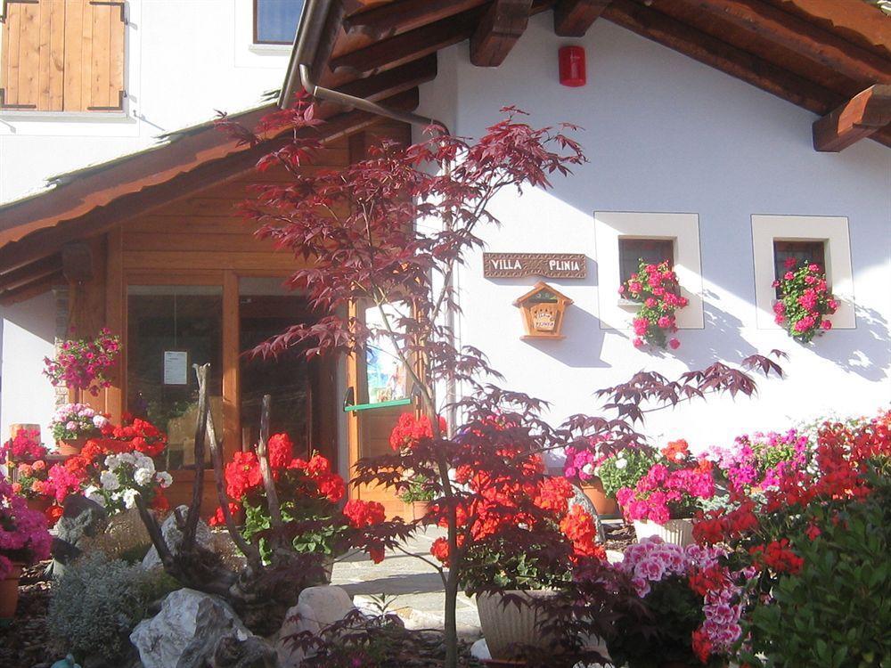 Plinia Pragelato