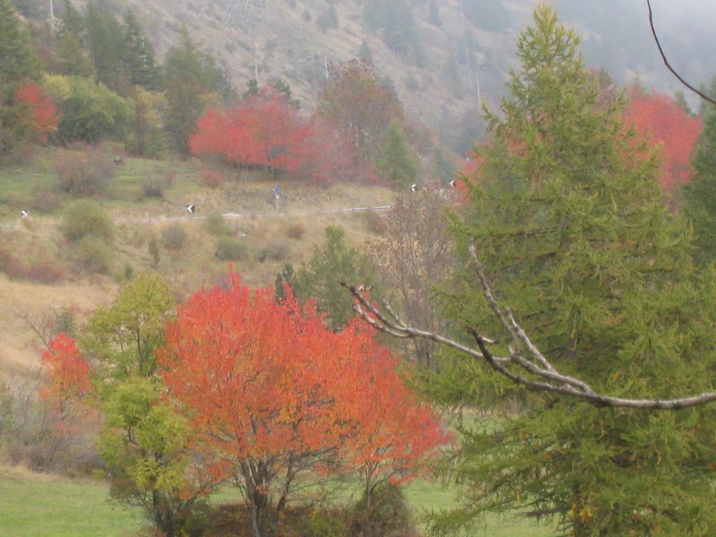 Hotel Plinia
